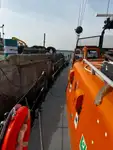 Crew-Boot zu verkaufen