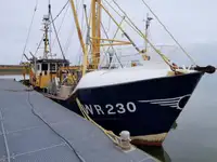 Trawler zu verkaufen