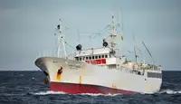 Trawler zu verkaufen