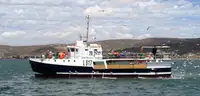 Purse seiner zu verkaufen