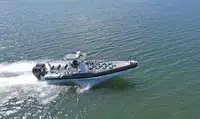 Festrumpf-Schlauchboot zu verkaufen