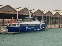 Kreuzfahrtschiff zu verkaufen