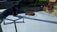 Trawler zu verkaufen