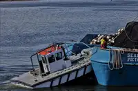 Purse-Seiner zu verkaufen