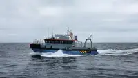 Containerschiff zu verkaufen