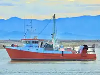 Trawler zu verkaufen