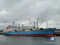 Kühlschiff zu verkaufen