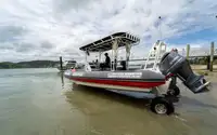Amphibisch zu verkaufen