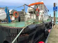 Crew-Boot zu verkaufen