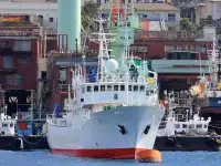 Patrouillenboot zu verkaufen