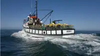 Trawler zu verkaufen