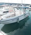 Kreuzfahrtschiff zu verkaufen