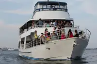 Passagierschiff zu verkaufen