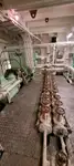 Schleppboot zu verkaufen