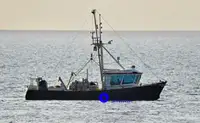 Beam-Trawler zu verkaufen