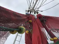 Trawler zu verkaufen
