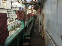 Tintenfisch-Jigger zu verkaufen