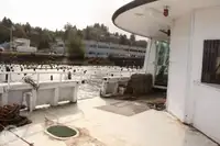Fährschiff zu verkaufen