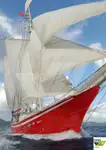 Kreuzfahrtschiff zu verkaufen