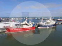 Fischereifahrzeug zu verkaufen