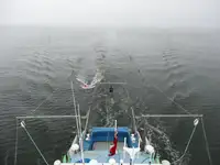 Containerschiff zu verkaufen