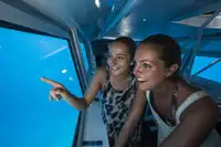 U-Boot zu verkaufen