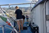 Schleppboot zu verkaufen