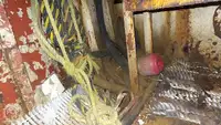 Schleppboot zu verkaufen