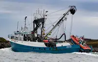 Purse-Seiner zu verkaufen