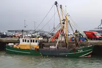 Trawler zu verkaufen