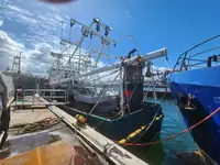 Trawler zu verkaufen
