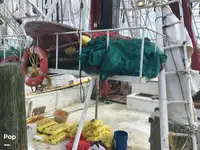 Trawler zu verkaufen