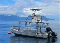Festrumpfschlauchboot zu verkaufen