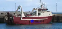 Großes Kühl-Trawlerschiff zu verkaufen