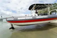 Amphibisch zu verkaufen