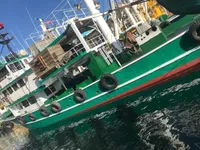Purse-Seiner zu verkaufen