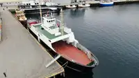 Ro-Ro-Schiff zu verkaufen