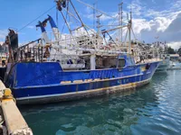 Trawler zu verkaufen