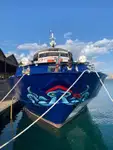 Fährschiff zu verkaufen