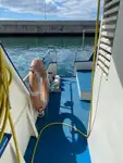 Schleppboot zu verkaufen
