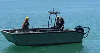 Landungsboot, Panzer zu verkaufen