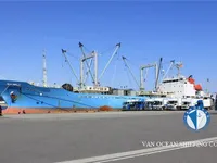 Kühlschiff zu verkaufen