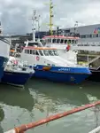 Patrouillenboot zu verkaufen