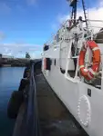 Schleppboot zu verkaufen