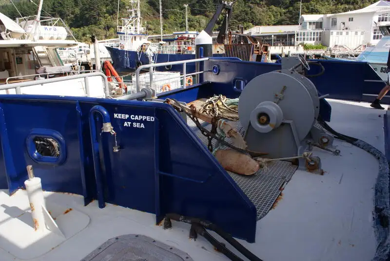 Kreuzfahrtschiff zu verkaufen