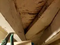 Fährschiff zu verkaufen