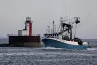 Purse-Seiner zu verkaufen