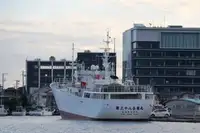 Trawler zu verkaufen