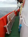 Crew-Boot zu verkaufen