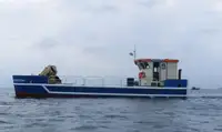 Schleppboot zu verkaufen